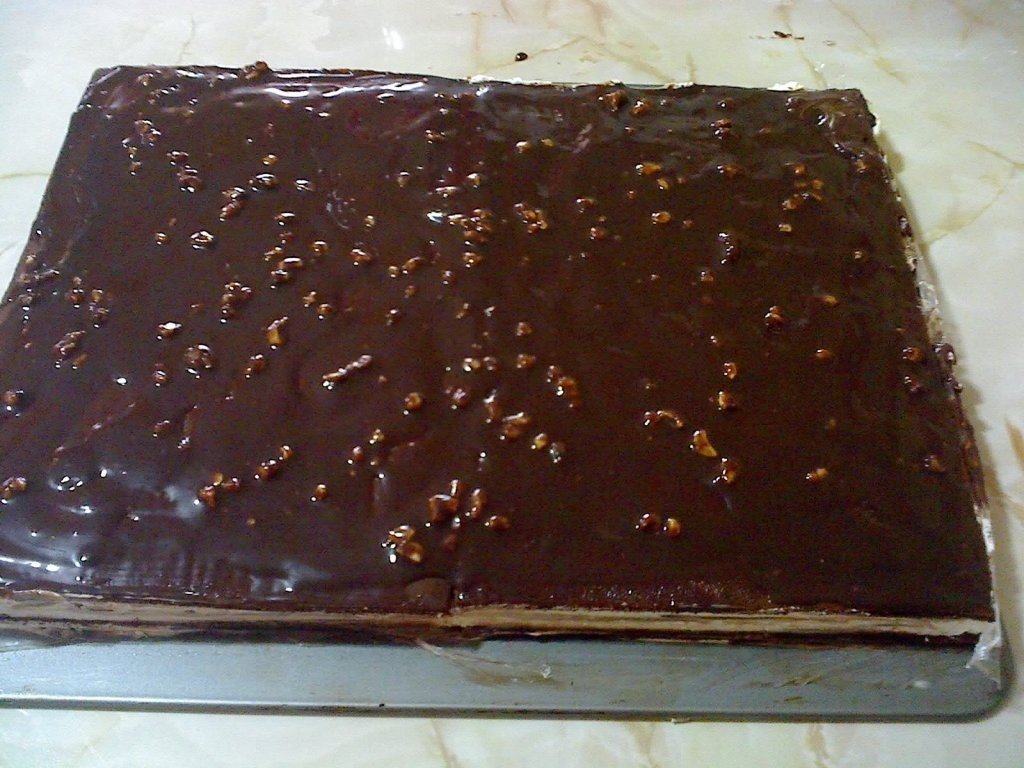 Felie de lapte--Samy