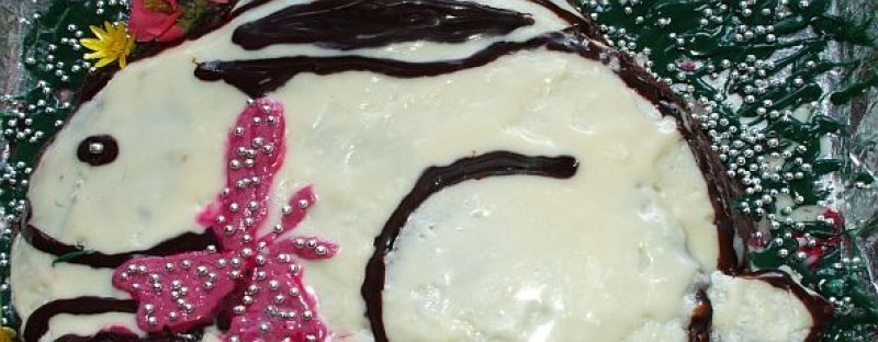 Doina Varga ne ofera: Tort Iepuras cu mure si ciocolata