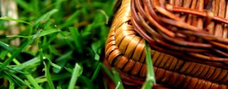 Delicii culinare pentru un picnic de 1 mai memorabil