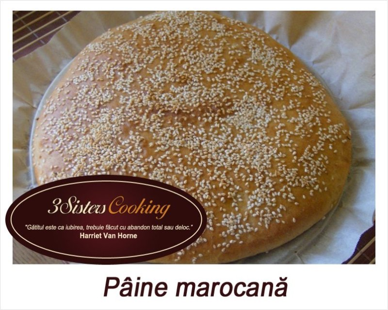 Paine marocana