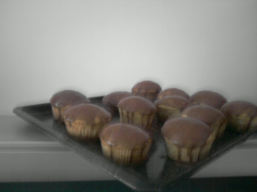 Ciuperci zburatoare - Briose