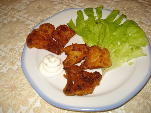 Conopida a'la Austria