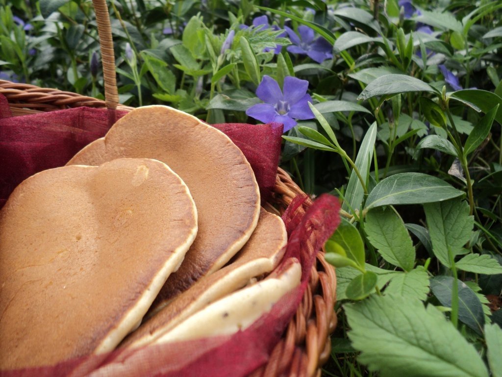 Pancakes cu miere și mac