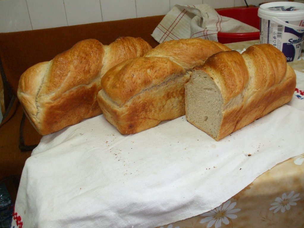 Pâine de casa