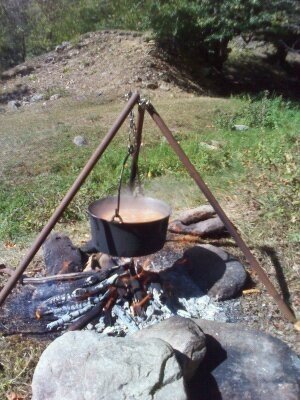 Aripi de pui cu cartofi natur si hrean ras