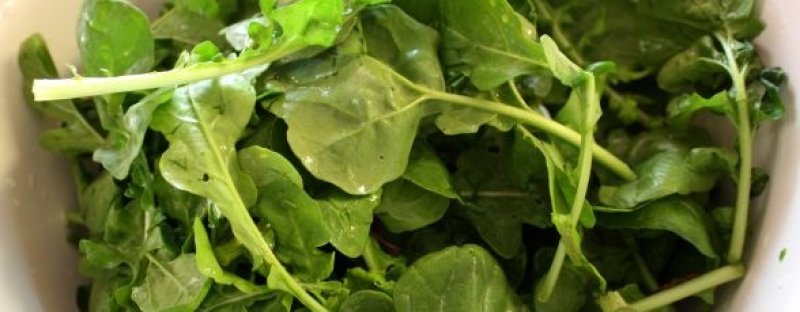 Rucola - de opt ori mai sanatoasa decat salata verde