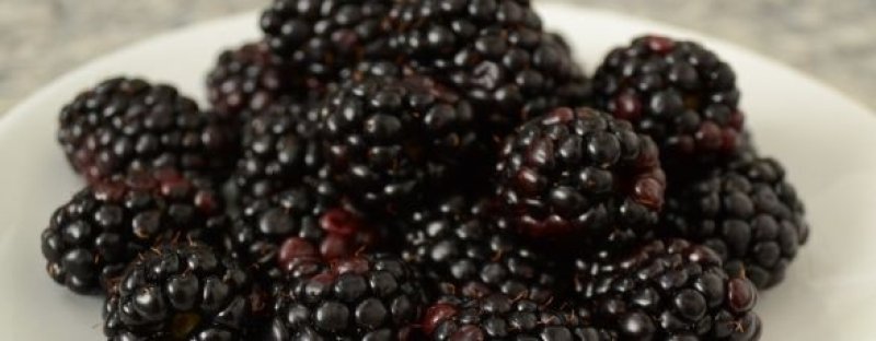 10 alimente care te fac fericit