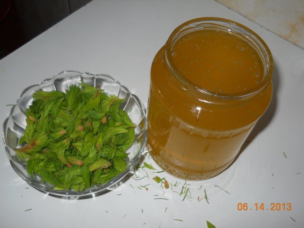 Sirop la rece din muguri de pin