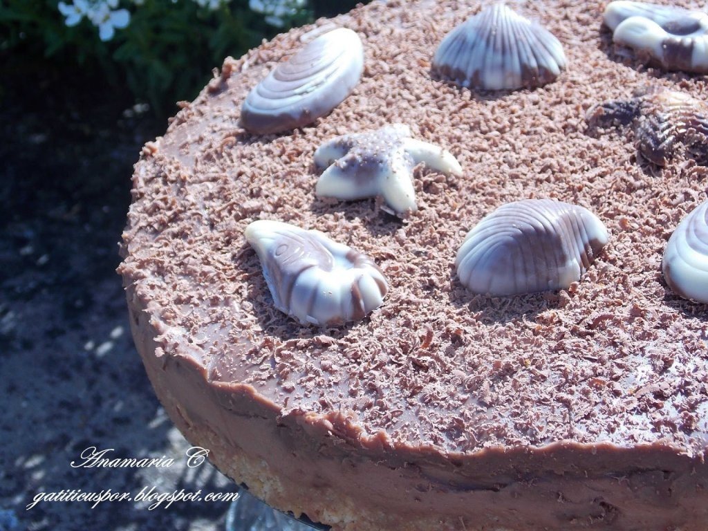Cheesecake Rapid Cu Ciocolata