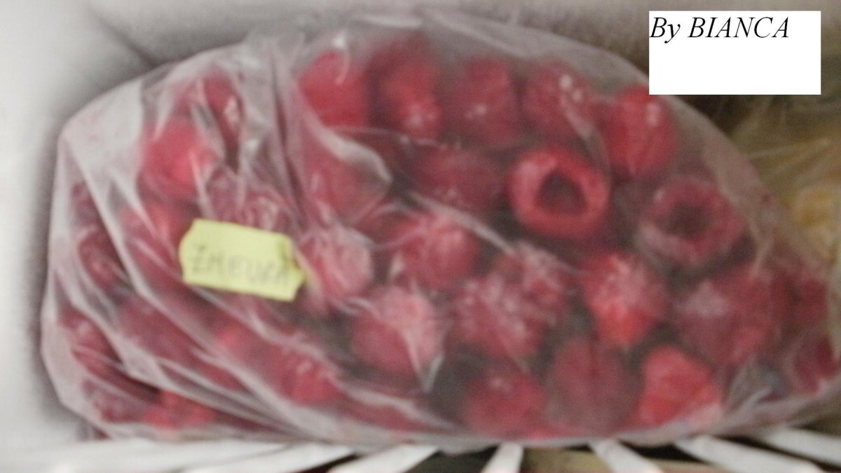 Fructe de padure la congelator pentru iarna