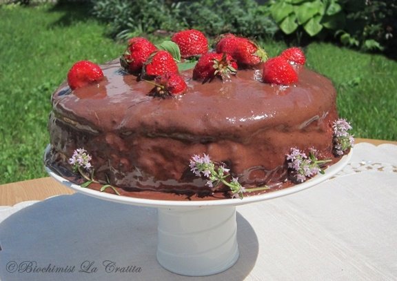 Tort cu capsune si spuma de cacao