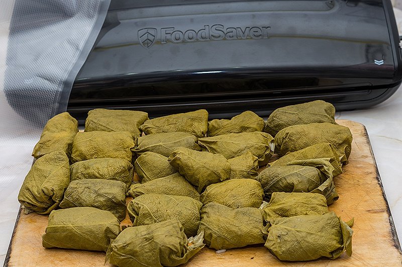 Food Saver te ajuta sa “salvezi” mancarera gatita