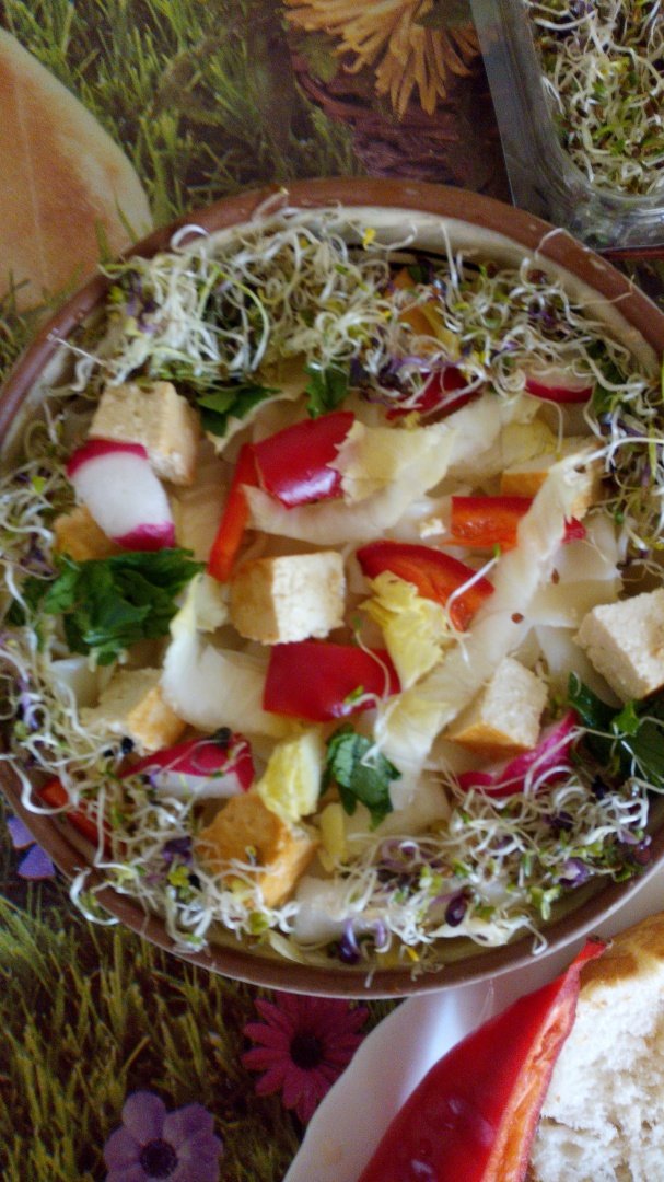 Paste cu tofu, andive, germeni mix de mustar, gulie, rapita,   iaurt de caju si parmezan vegan