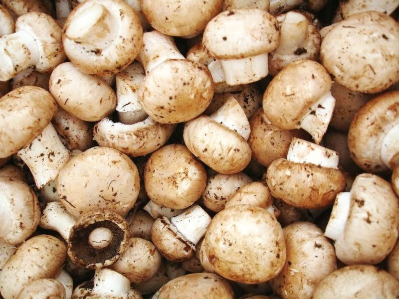 Cum se curata corect ciupercile