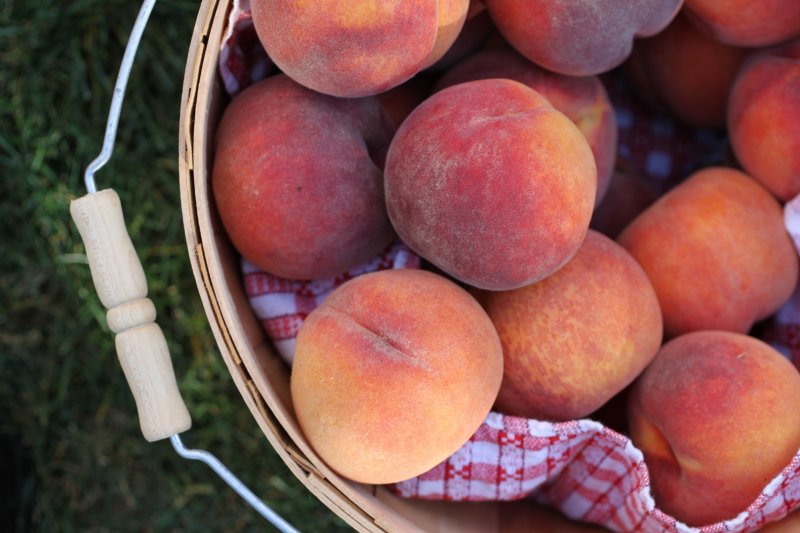Fructe de vara pe care nu trebuie sa le tii la frigider