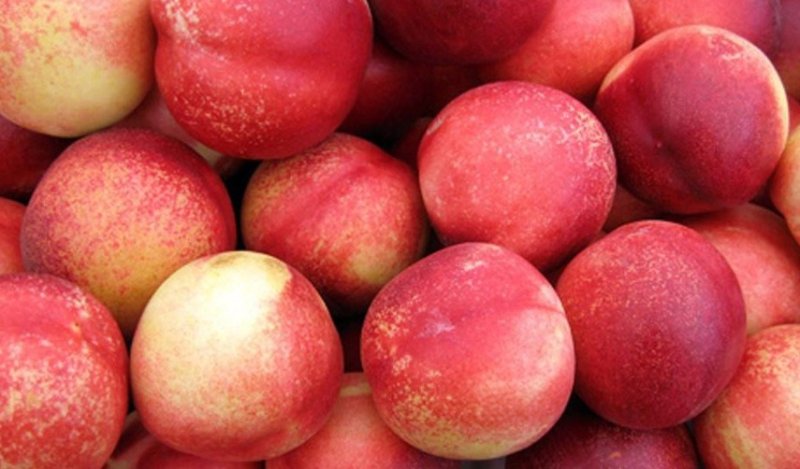 Alerta alimentara - caisele si nectarinele din Turcia, pericol pentru sanatate