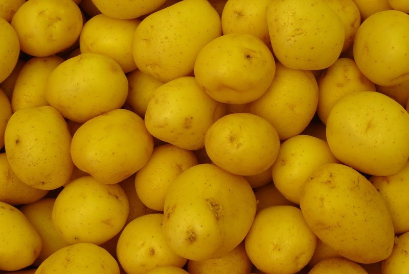 Ce sa mai gatesti cu cartofi noi - cele mai bune 15 retete de sezon