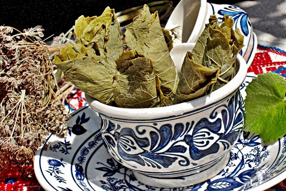 Frunze de vita de vie conservate pentru iarna