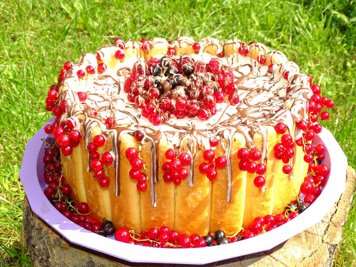 Tort racoros de vara- cocktail cu fructe