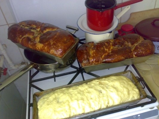 COZONAC ARDELENESC  - ENY  -