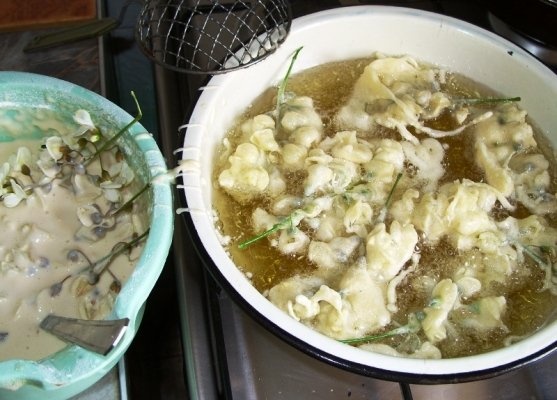 Prajituri (gogosi) din flori de salcam