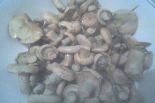 salata de bureti laptosi