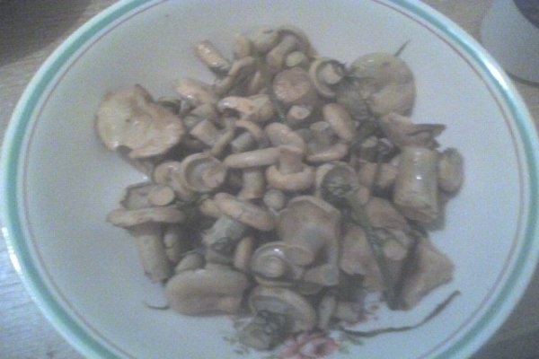 salata de bureti laptosi