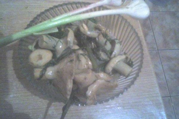 salata de bureti laptosi