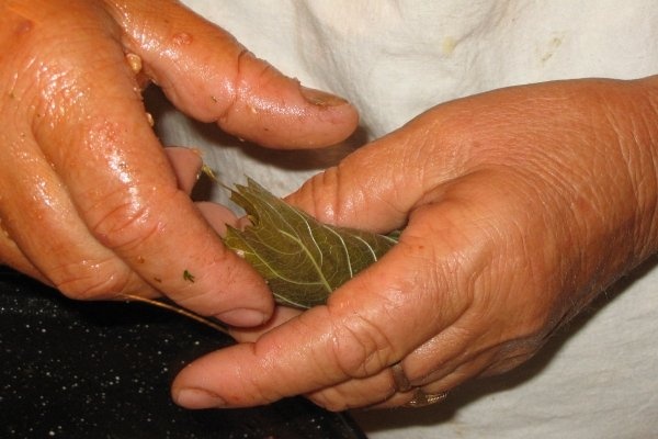 SARMALE IN FOI DE VITA DE VIE