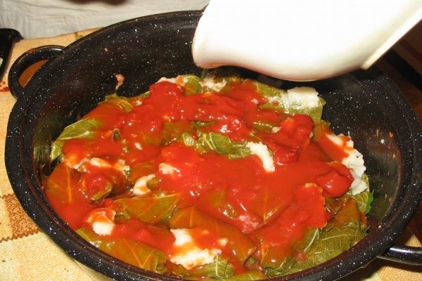 SARMALE IN FOI DE VITA DE VIE