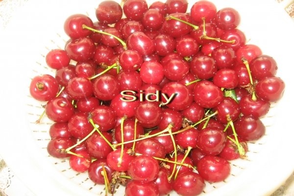 Visine pentru prajituri si sirop