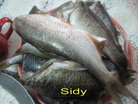 Peste de rau, prajit