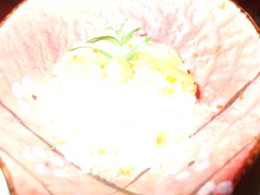 Salata de orez cu castraveti in otet