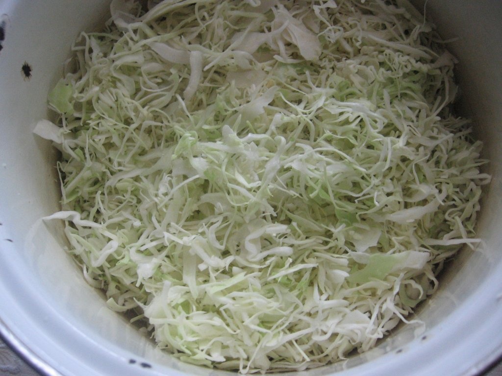 Salata de varza noua