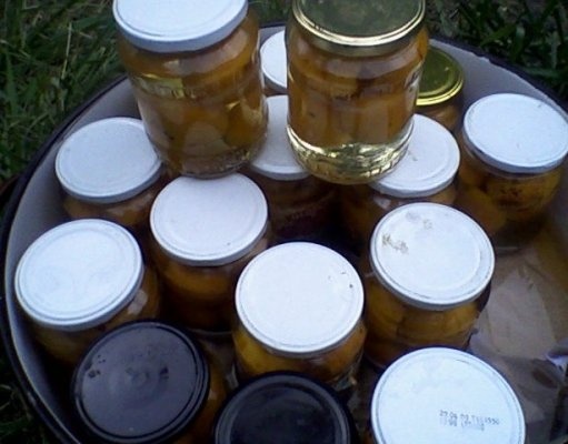 Compot usor de caise