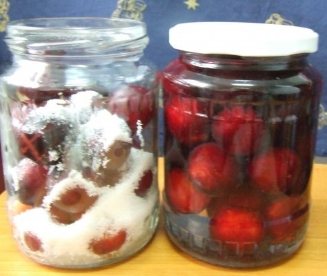 COMPOT CORCODUSE ROSII