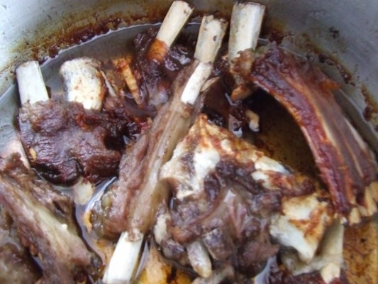 Costite de oaie fripte