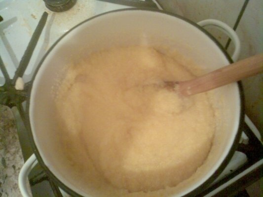 Mamaliguta cu smantana si branza