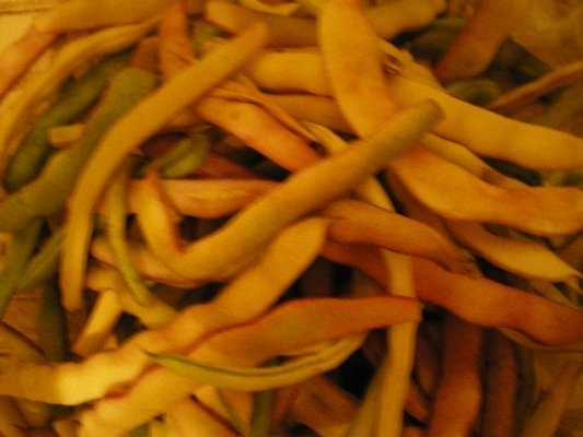 Fasole verde la congelator