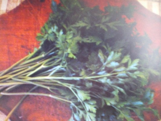 PATRUNJEL LA CONGELATOR