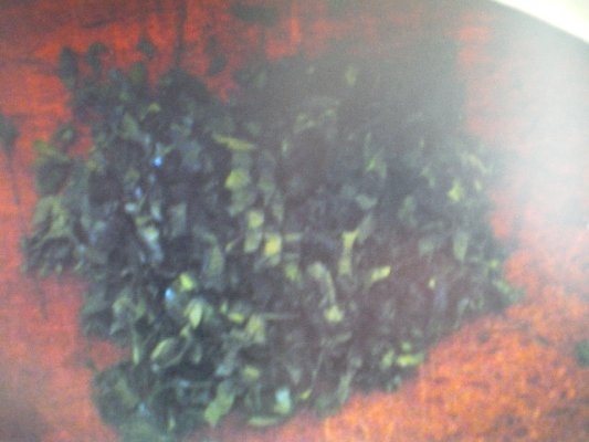 PATRUNJEL LA CONGELATOR