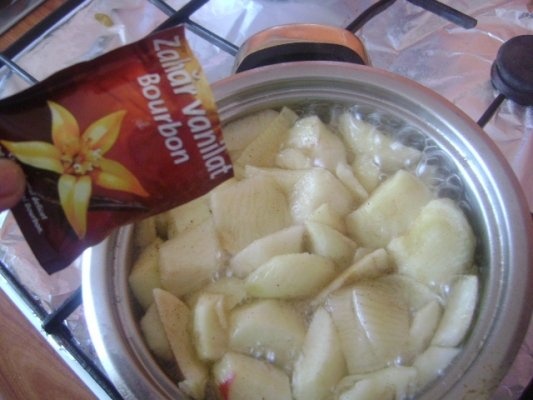 compot de mere takla