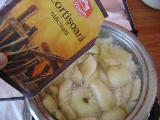 compot de mere takla