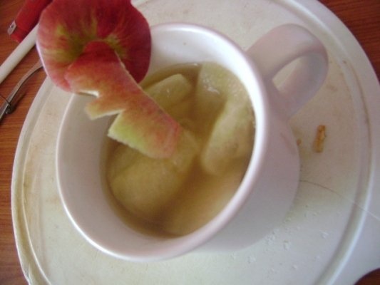 compot de mere takla