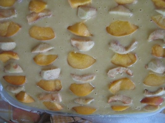 PRAJITURA CU PIERSICI si MERE