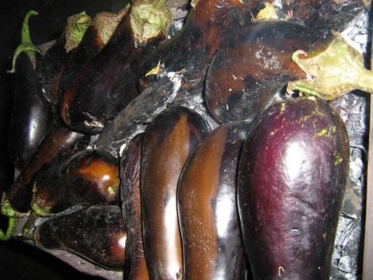 VINETE LA CONGELATOR