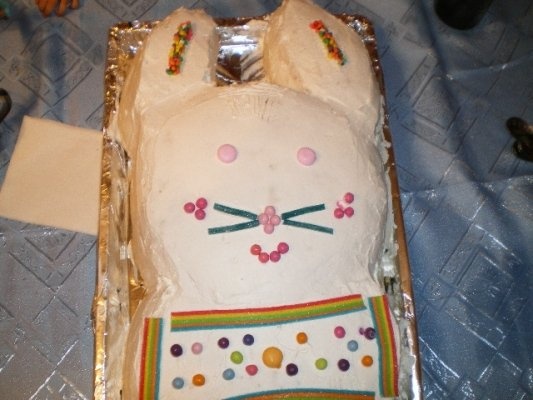 Tiramisu diverse forme