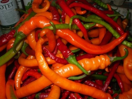 Mix picant dulce-acrisor de ardei iuti
