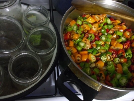 Mix picant dulce-acrisor de ardei iuti