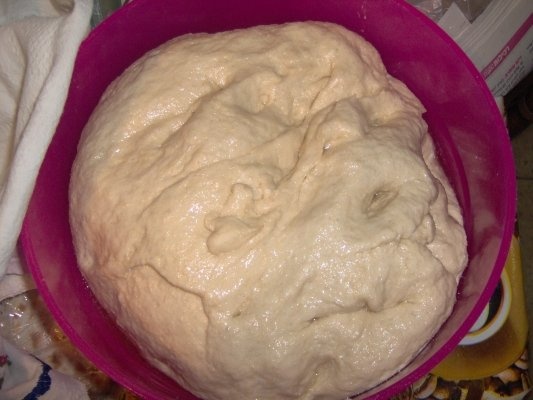 Freecasse-piinicele prajite si umplute